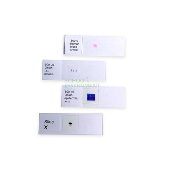 Prepared Microscope Slides